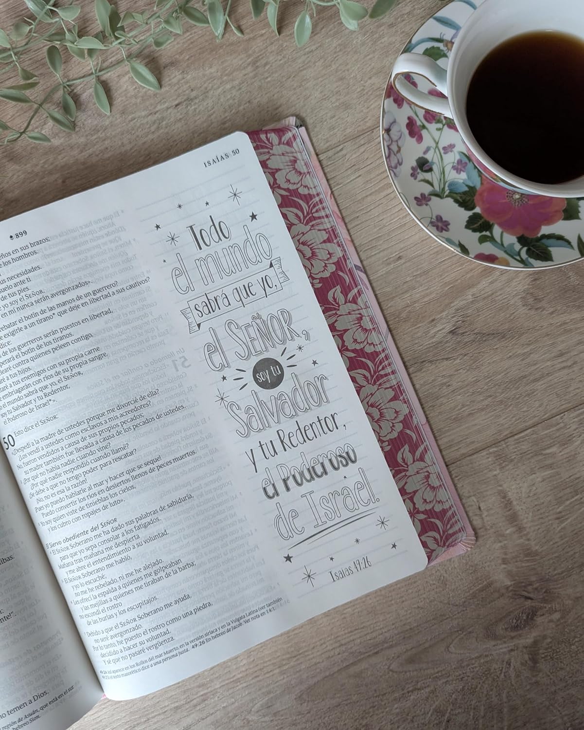 Biblia Inspira Rosa NTV