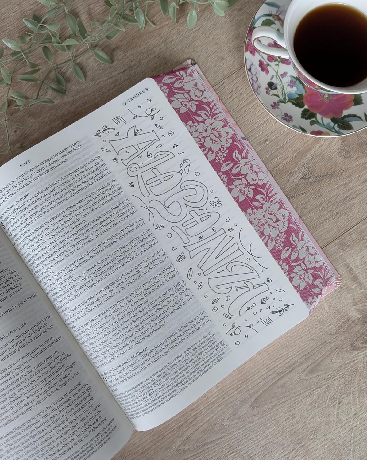 Biblia Inspira Rosa NTV