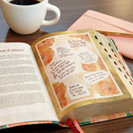 Biblia Devocional Centrada En Cristo RVR60