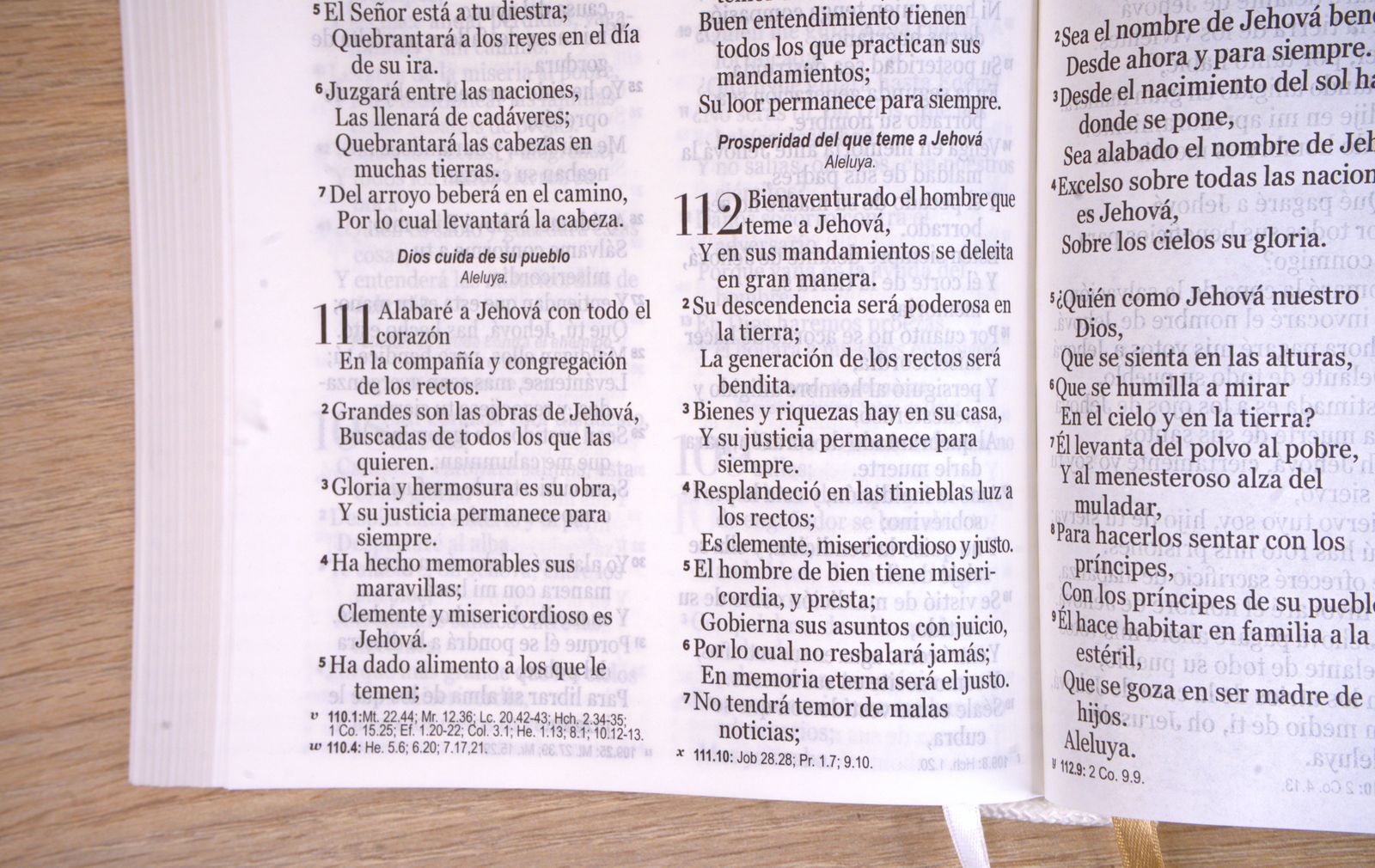 Biblia REF. Gracia