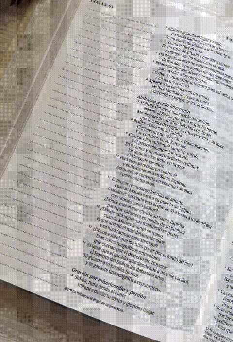 Biblia Inspira NTV Dorada