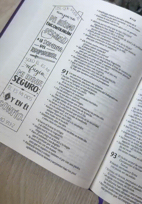 Biblia Inspira NTV Morada
