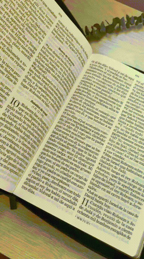 Biblia RVR60 Negra Letra Gigante