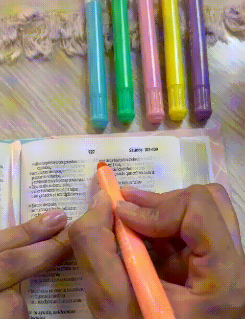 Resaltadores en gel x 6