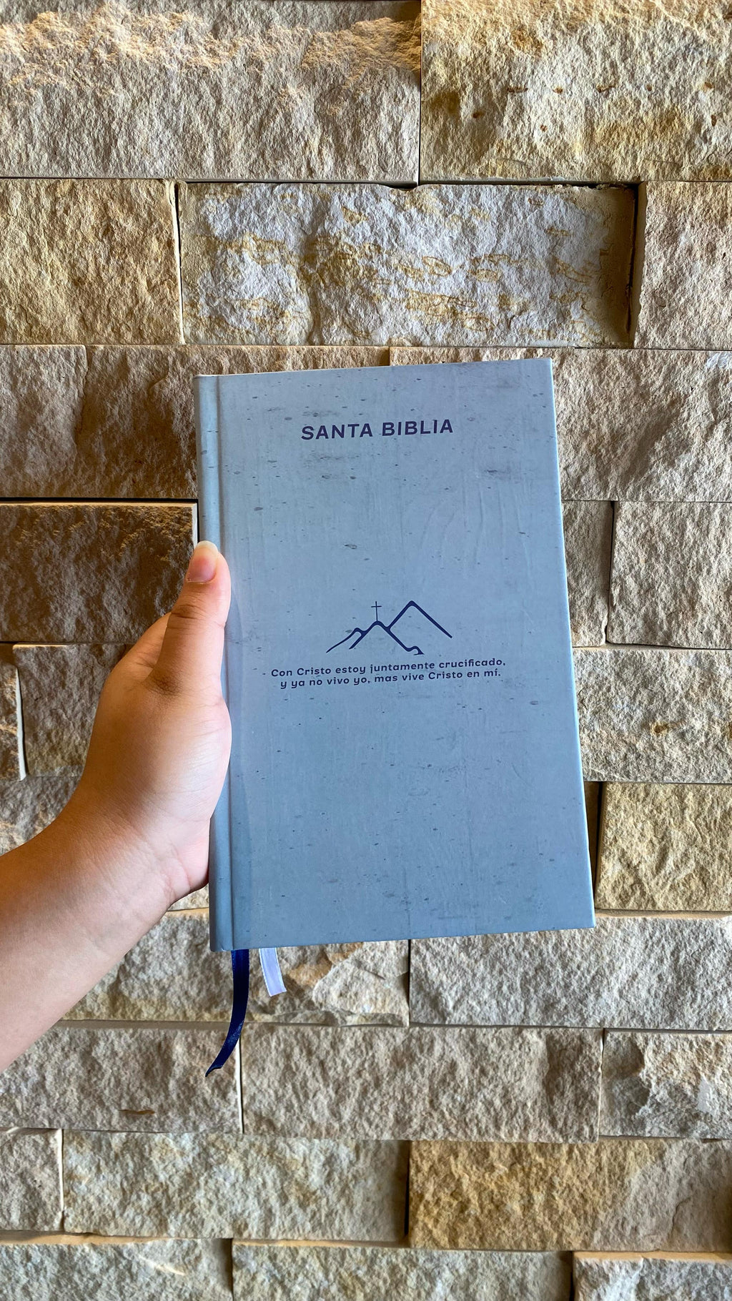 Biblia Cristo  NTV