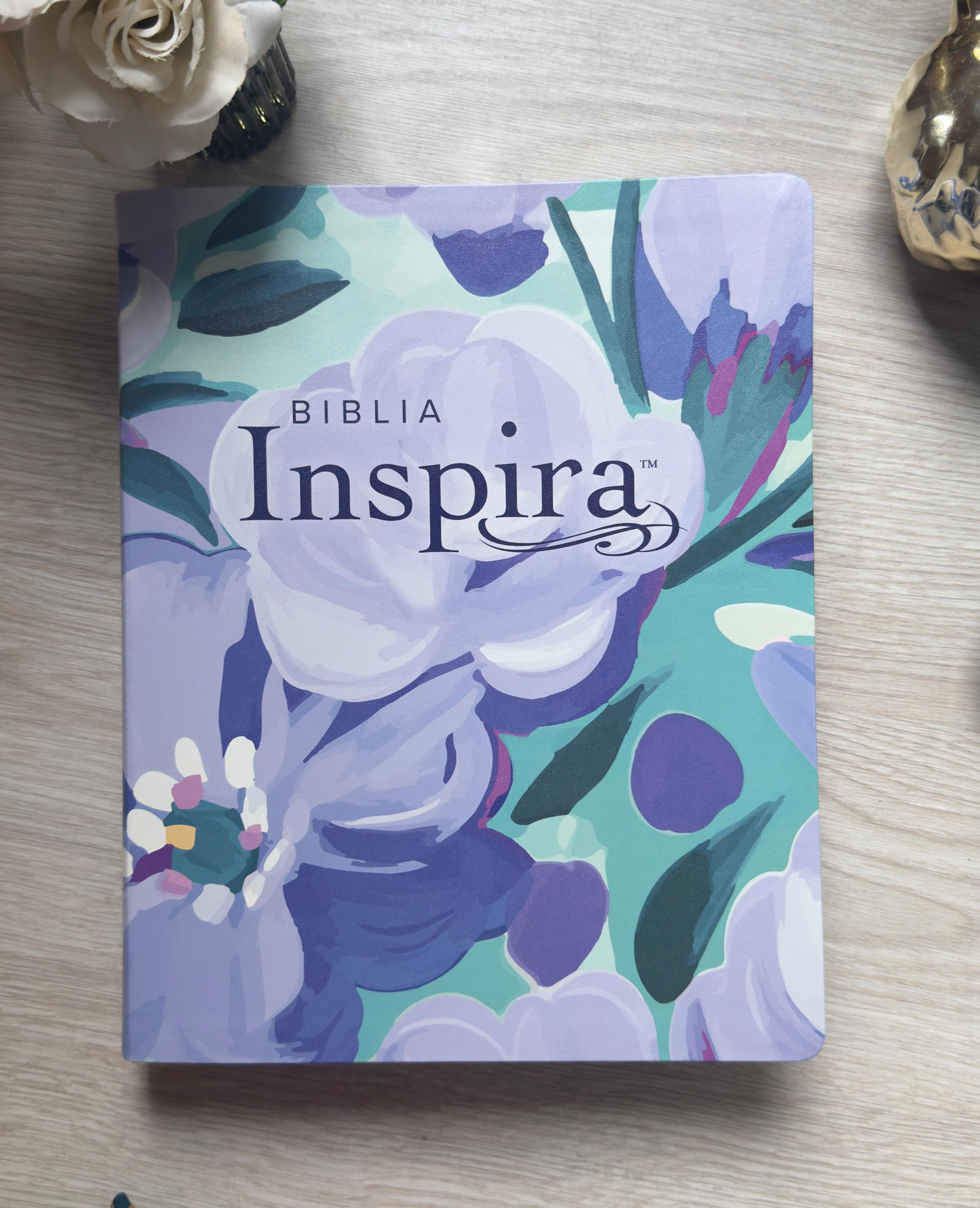 Biblia Inspira NTV Ramo Azul