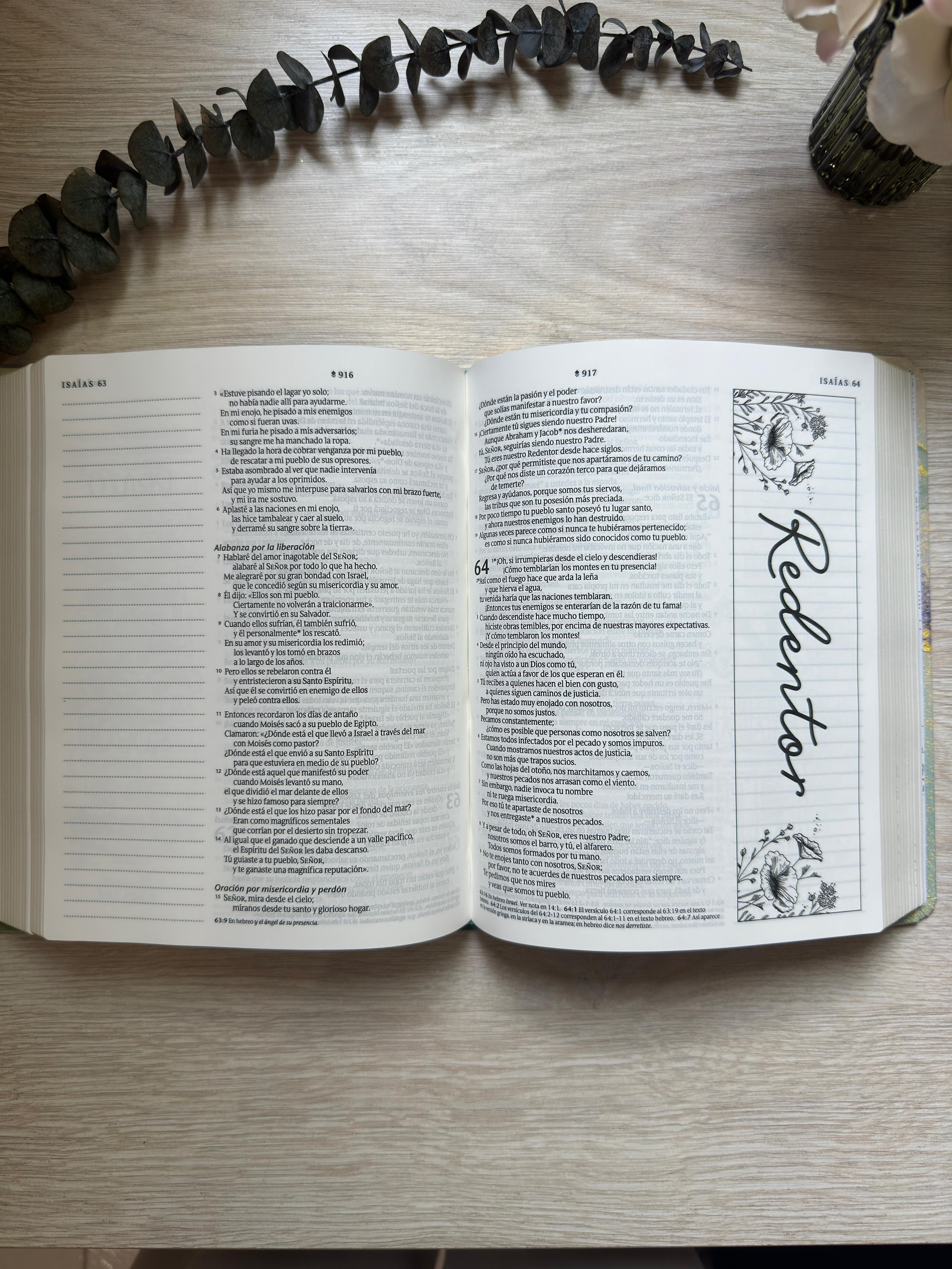 Biblia Inspira NTV Dorada
