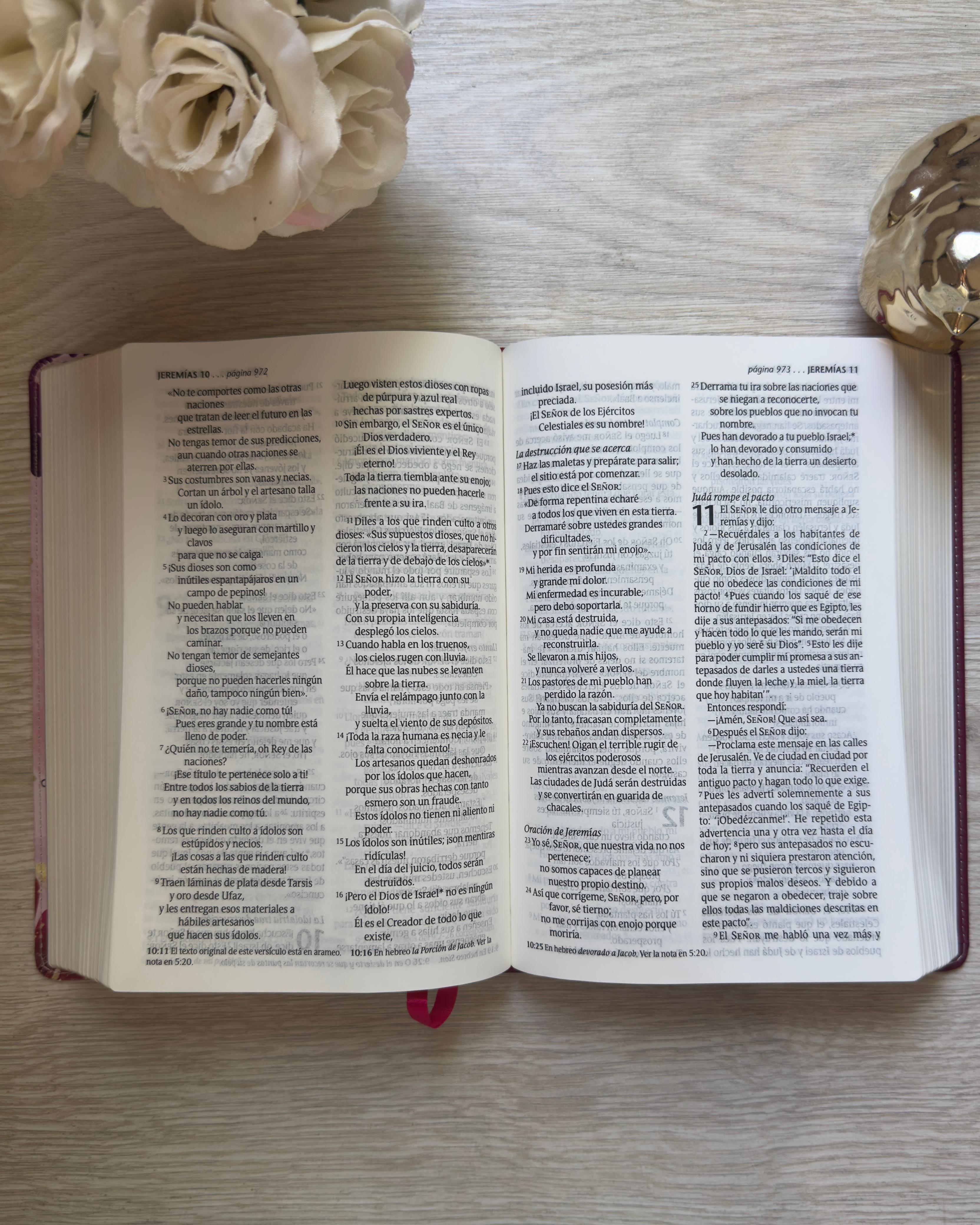 Biblia NTV Letra Grande Jardín Morado