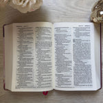 Biblia NTV Letra Grande Jardín Morado