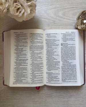 Biblia NTV Letra Grande Jardín Morado