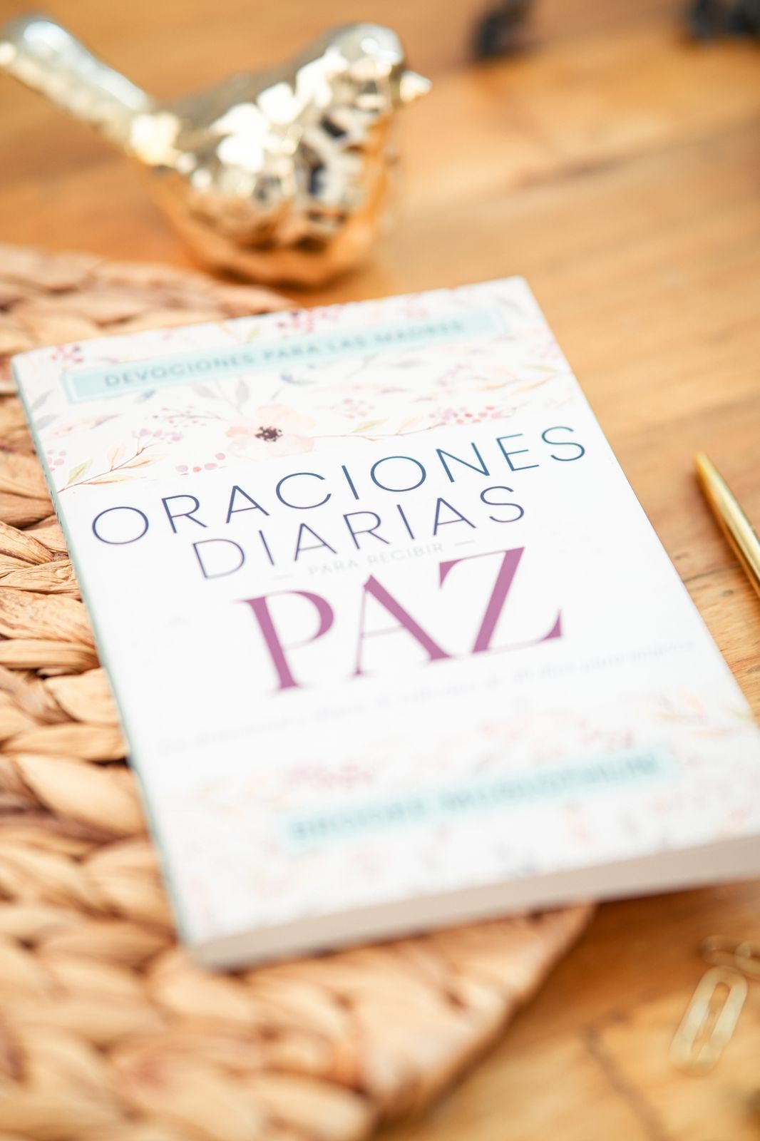 Oraciones Diarias Paz