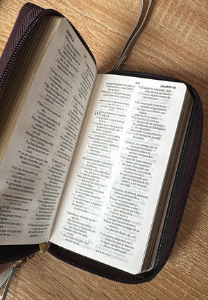 Biblia Chequera RVR60 - Marrón