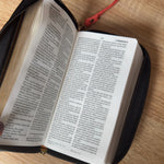Biblia chequera RVR60 - Coral
