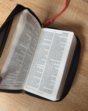 Biblia chequera RVR60 - Coral