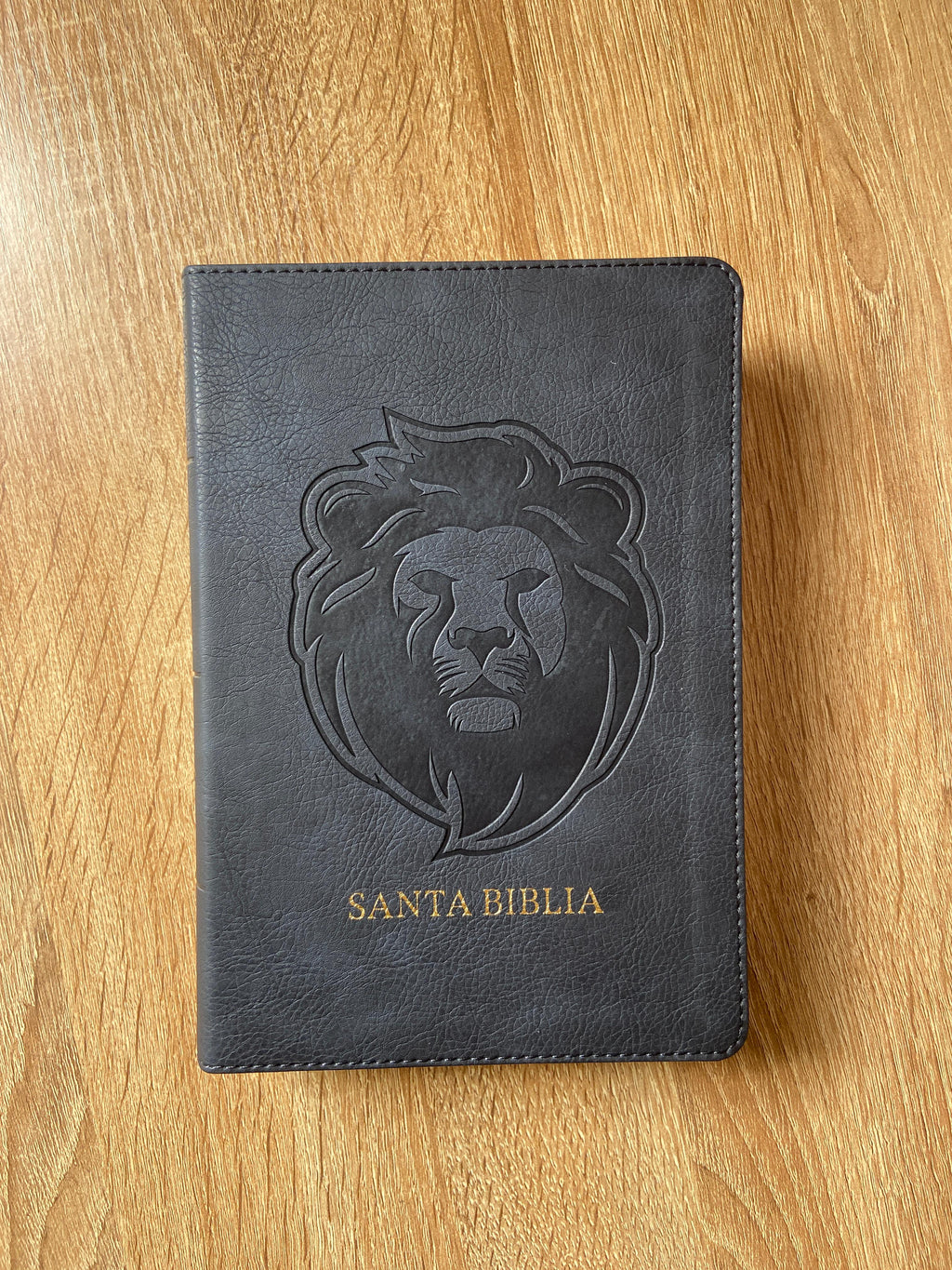 Biblia RVR60 letra grande con referencias - León