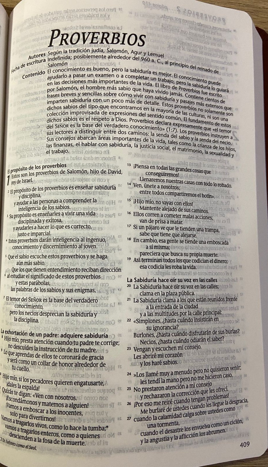 Biblia Hermoso NTV