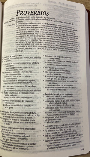 Biblia Nunca Falla NTV