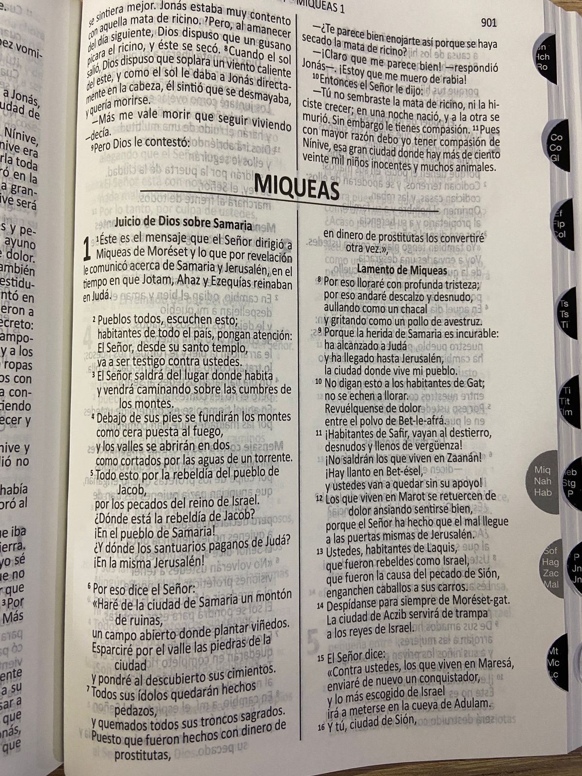 Biblia Lampara a mis pies DHH