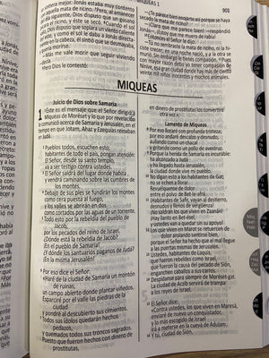 Biblia Hermoso DHH