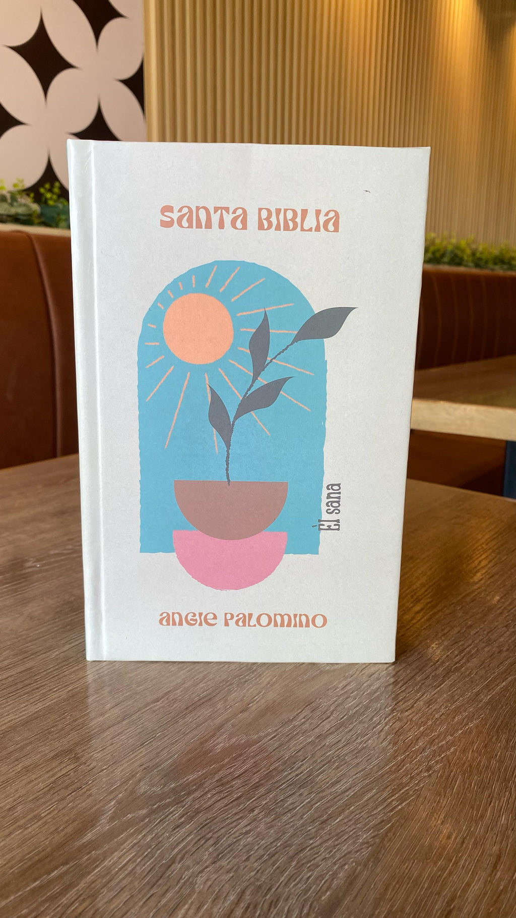 Biblia  Él Sana  NTV