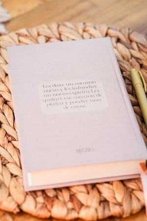 NVI Biblia Corazón Limpio