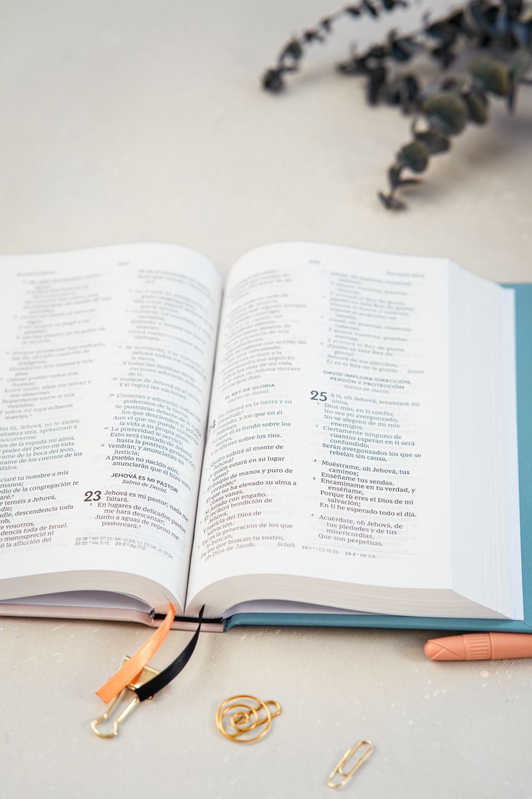 Biblia  Él Sana RVR 1960