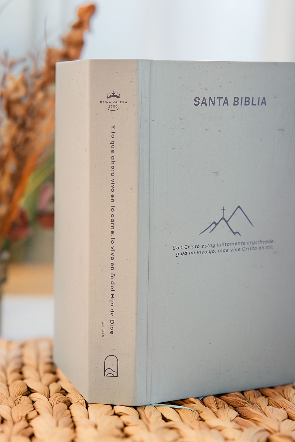 NVI Biblia Cristo