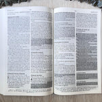 Biblia  Él Sana RVR 1960