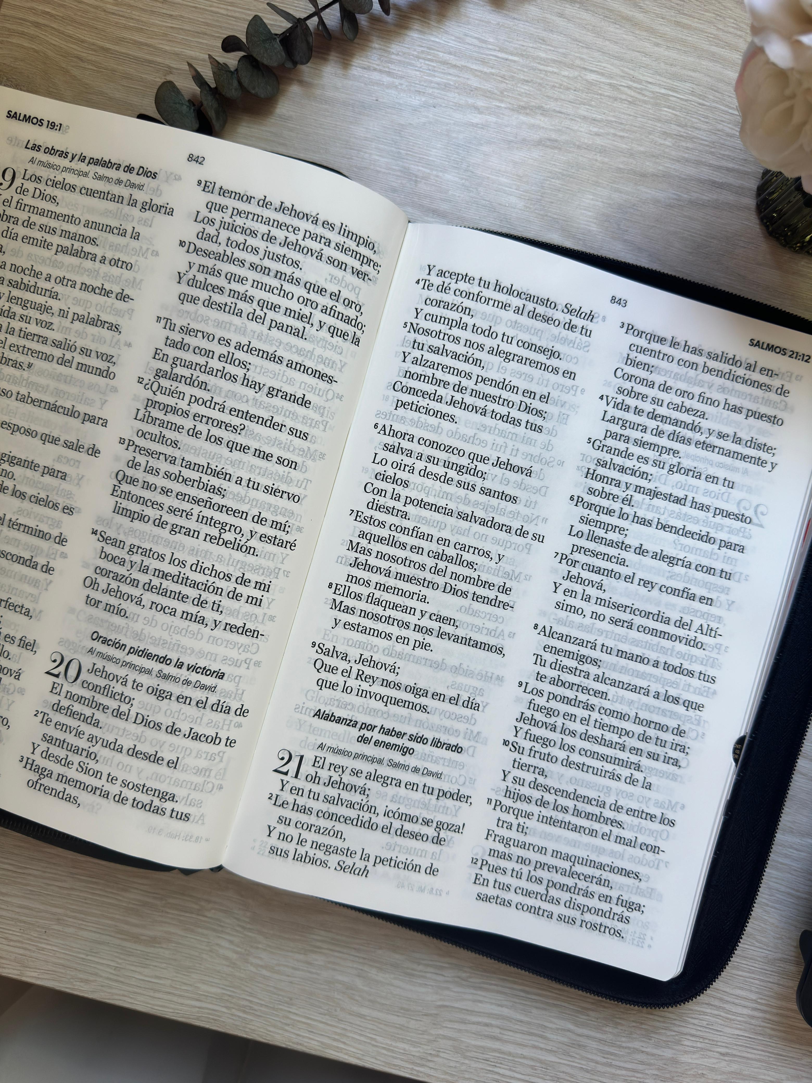 Biblia RVR60 Negra Letra Gigante