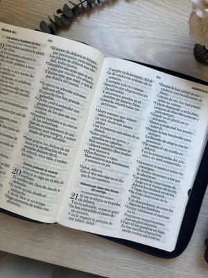 Biblia RVR60 Negra Letra Gigante