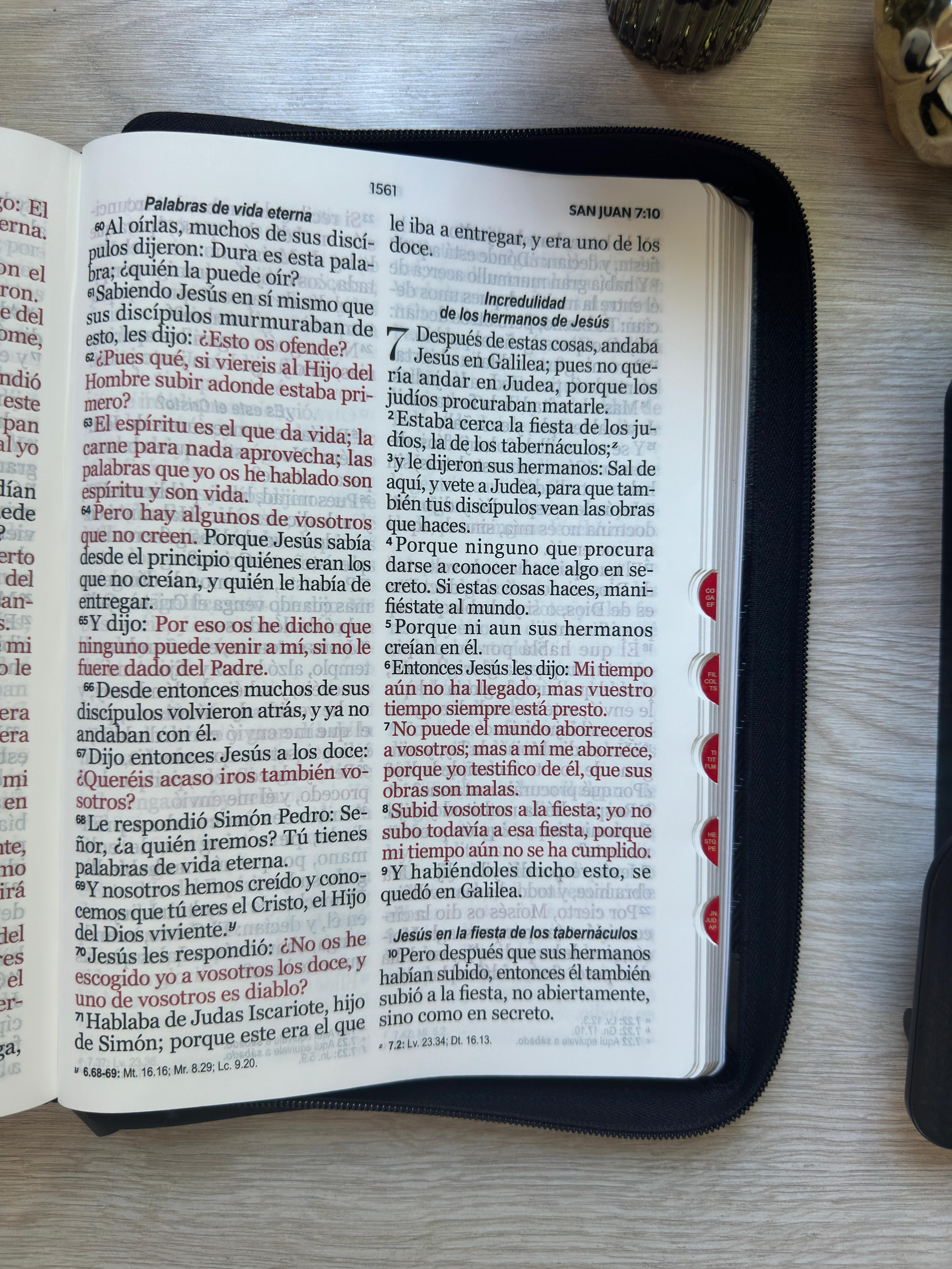 Biblia RVR60 Negra Letra Gigante