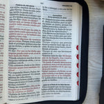 Biblia RVR60 Negra Letra Gigante