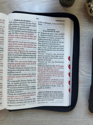 Biblia RVR60 Negra Letra Gigante