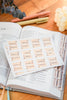 Tabs Adhesivos - Ramo