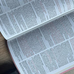 Biblia Rosa Letra Grande NTV