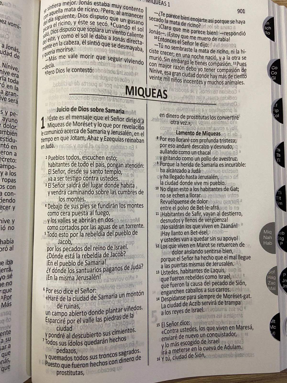 DHH Biblia Cristo