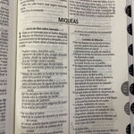 DHH Biblia Cristo
