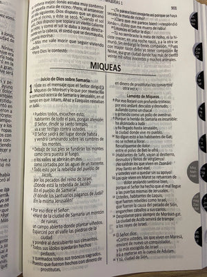 DHH Biblia Cristo