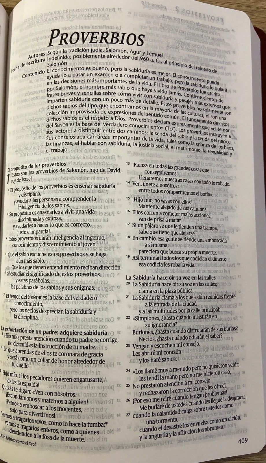 NTV Biblia Corazón Limpio