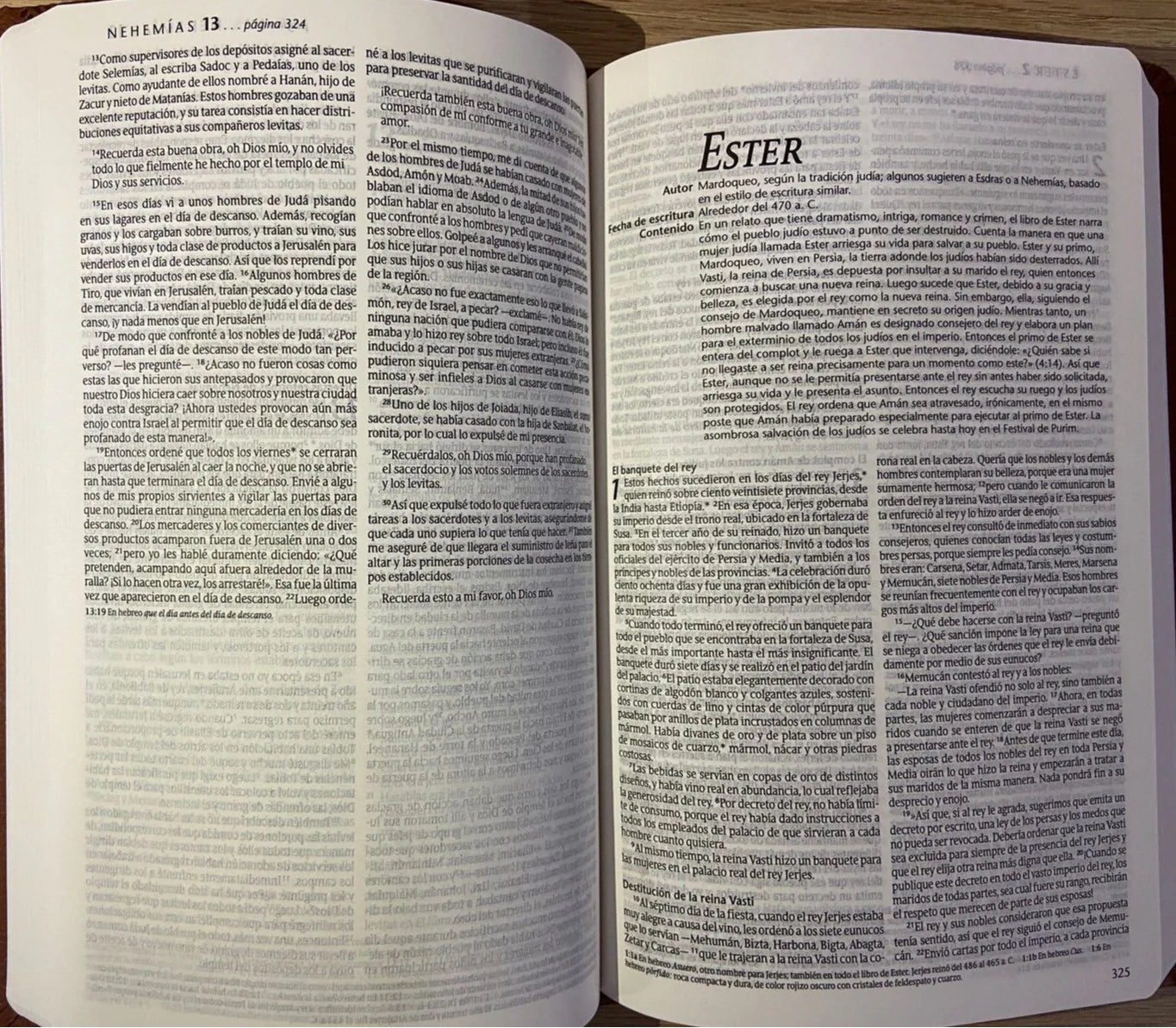 NTV Biblia Corazón Limpio