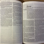 NTV Biblia Corazón Limpio
