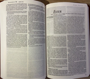 NTV Biblia Corazón Limpio