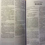NVI Biblia Corazón Limpio