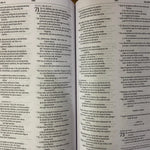 NVI Biblia Cristo