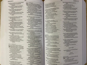NVI Biblia Cristo