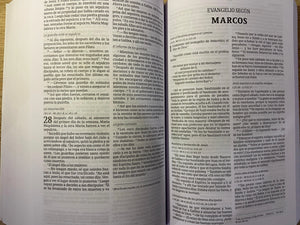 NVI Biblia Corazón Limpio