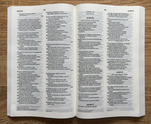 NVI Biblia Estima